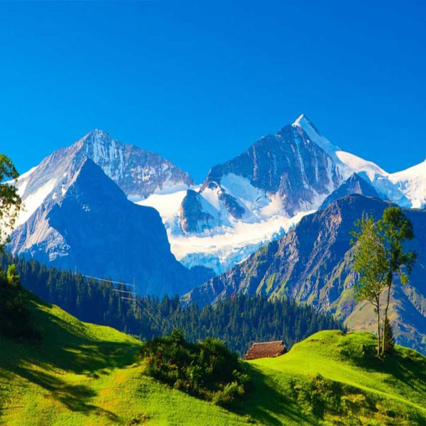 Shimla-Manali Package